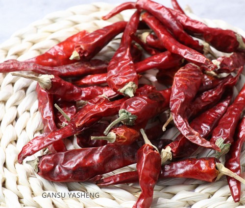 干辣椒/Chili pepper